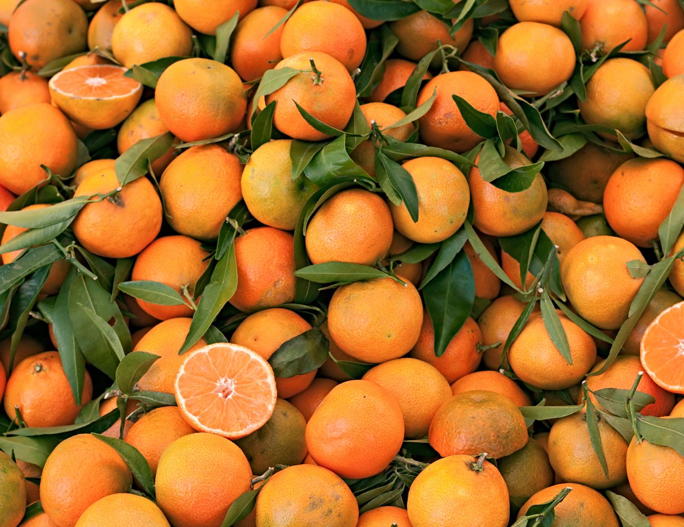 Sora Clementine