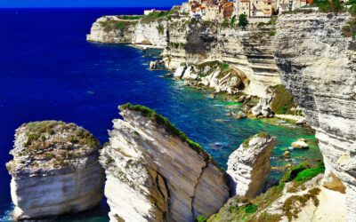 La Corse des plantes : itinéraire botanique au cœur du maquis
