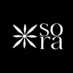 Sora - Le pouvoir d’une île